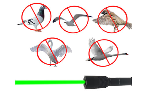 Optlaser Bird Deterrent Laser 2
